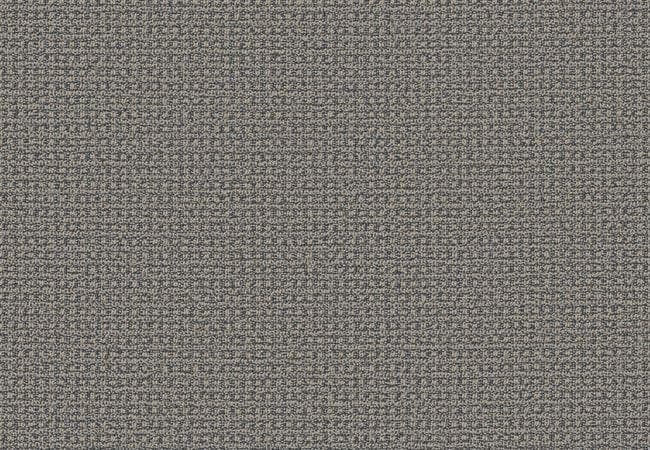 Anderson Tuftex Carpet Fetch Downpour, Anderson Tuftex