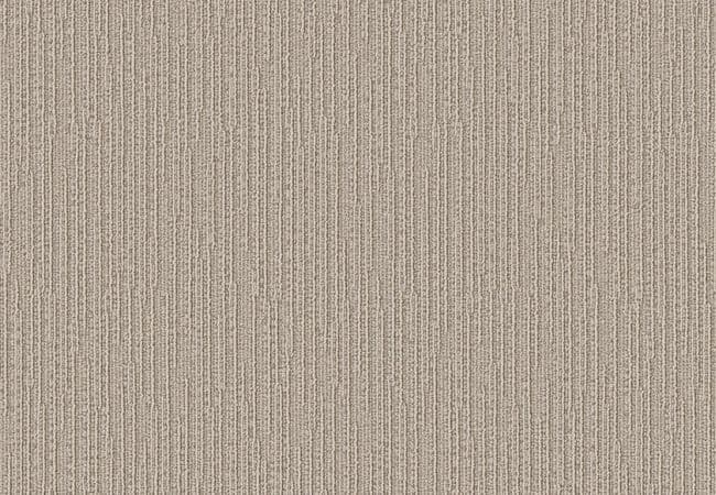 Anderson Tuftex Carpet Fetch Oyster Shell, Anderson Tuftex