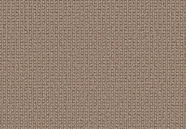 Anderson Tuftex Carpet Fetch Russet, Anderson Tuftex