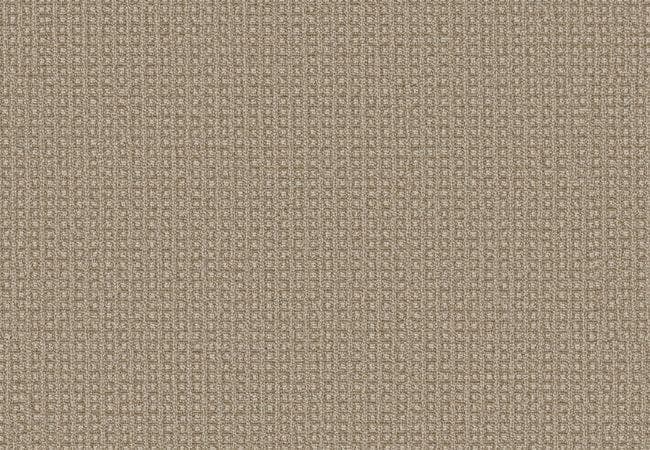Anderson Tuftex Carpet Fetch Sesame — Anderson Tuftex