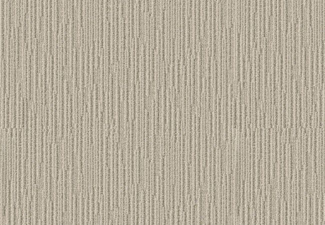 Anderson Tuftex Carpet Fetch Soft Fern, Anderson Tuftex