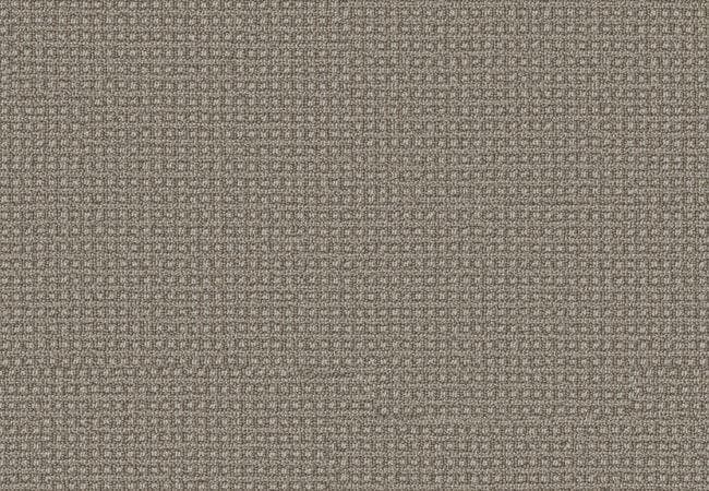 Anderson Tuftex Carpet Fetch Stampede — Anderson Tuftex