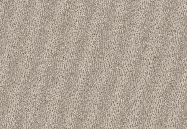 Anderson Tuftex Carpet Fur Ever Bennington, Anderson Tuftex