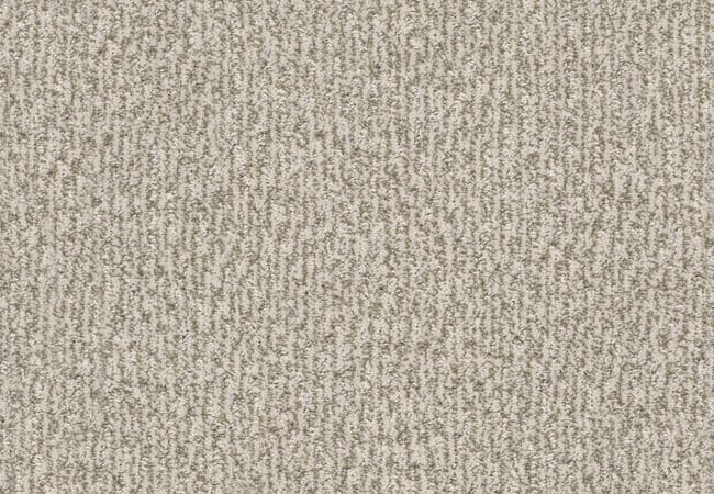 Anderson Tuftex Carpet Fur Ever Birch, Anderson Tuftex