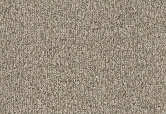 Anderson Tuftex Carpet Fur Ever Cloud Cover, Anderson Tuftex