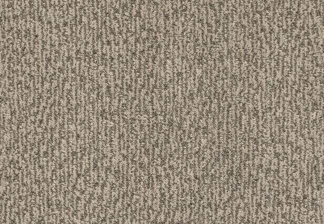 Anderson Tuftex Carpet Fur Ever Danville, Anderson Tuftex