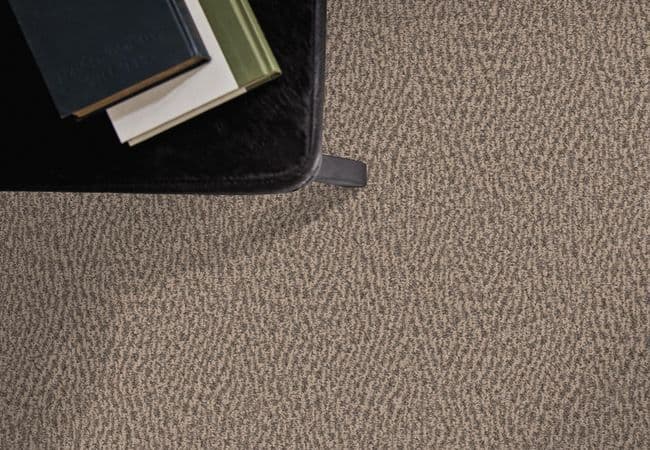 Anderson Tuftex Fur Ever flooring collection sample