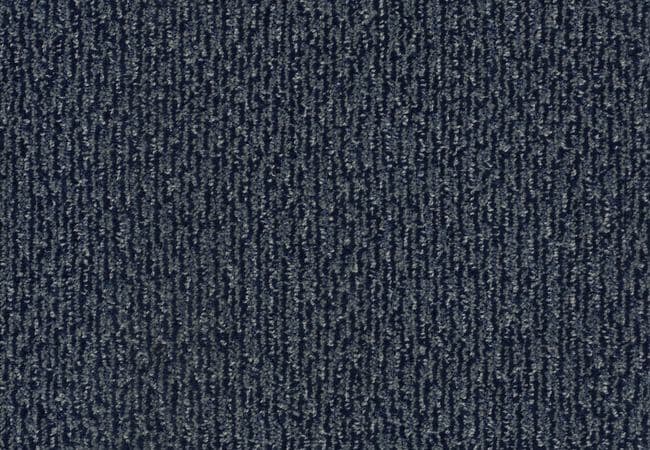 Anderson Tuftex Carpet Fur Ever Hale Navy, Anderson Tuftex