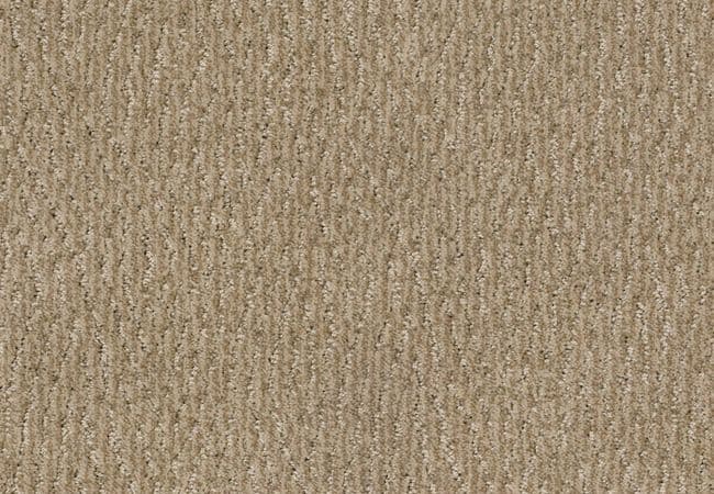 Anderson Tuftex Carpet Fur Ever Mystic, Anderson Tuftex