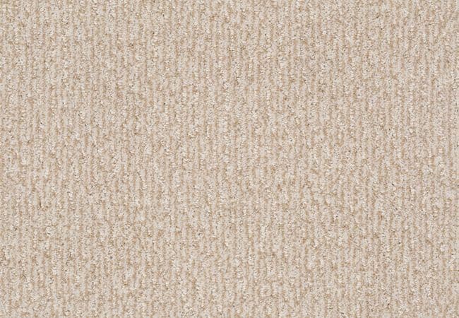Anderson Tuftex Carpet Fur Ever Old Country — Anderson Tuftex