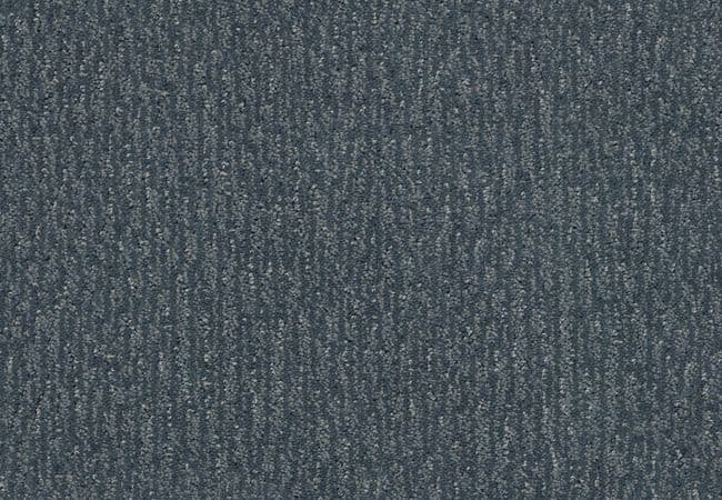 Anderson Tuftex Carpet Fur Ever Waterbury — Anderson Tuftex