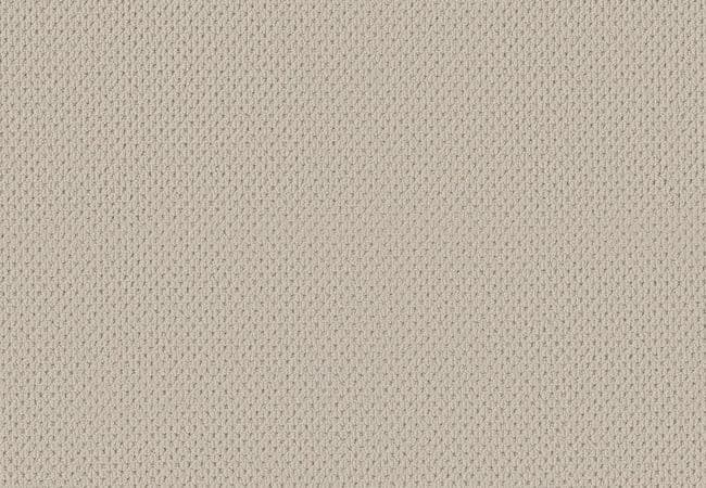 Anderson Tuftex Carpet Mera Aged White — Anderson Tuftex