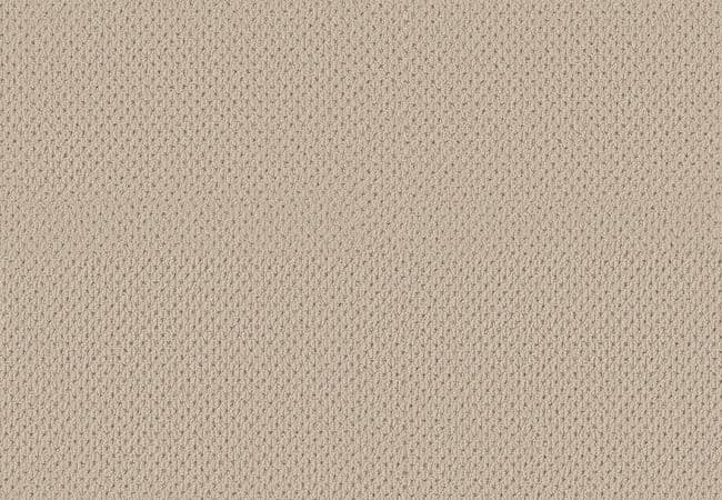 Anderson Tuftex Carpet Mera Beach Haven — Anderson Tuftex