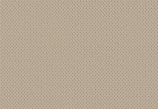 Anderson Tuftex Carpet Mera Biscuit — Anderson Tuftex