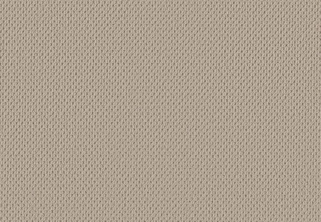 Anderson Tuftex Carpet Mera Fleece — Anderson Tuftex
