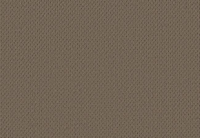 Anderson Tuftex Carpet Mera Homestead — Anderson Tuftex