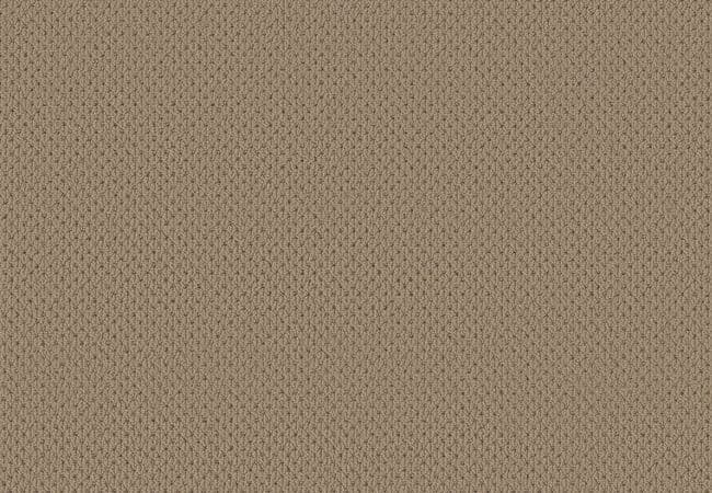 Anderson Tuftex Carpet Mera Latte — Anderson Tuftex
