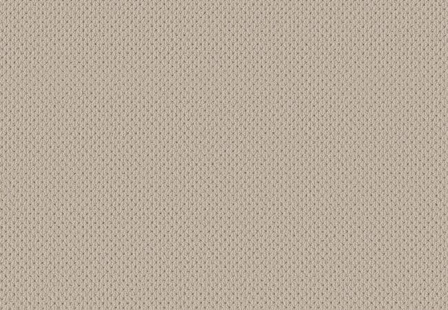 Anderson Tuftex Carpet Mera Natural — Anderson Tuftex