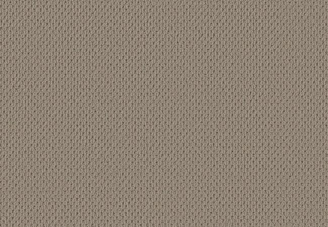 Anderson Tuftex Carpet Mera Pavestone — Anderson Tuftex