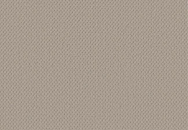 Anderson Tuftex Carpet Mera Plymouth, Anderson Tuftex
