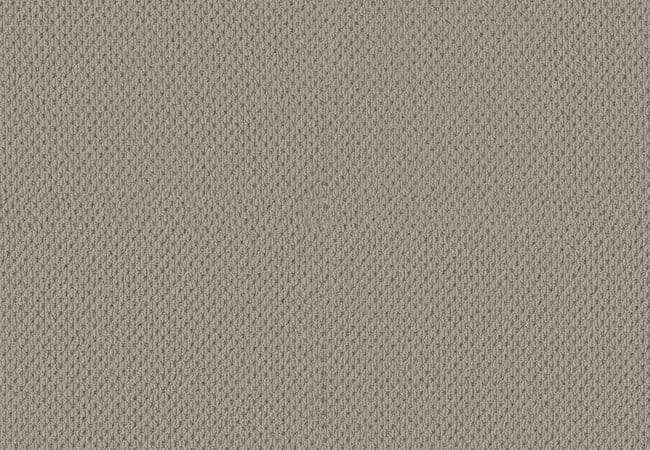 Anderson Tuftex Carpet Mera Portico — Anderson Tuftex