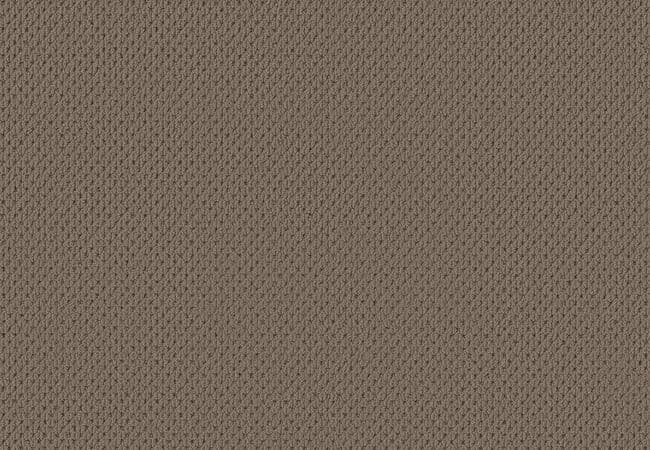 Anderson Tuftex Carpet Mera Shingle — Anderson Tuftex