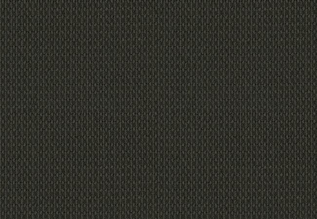 Anderson Tuftex Carpet Moondance After Dark — Anderson Tuftex