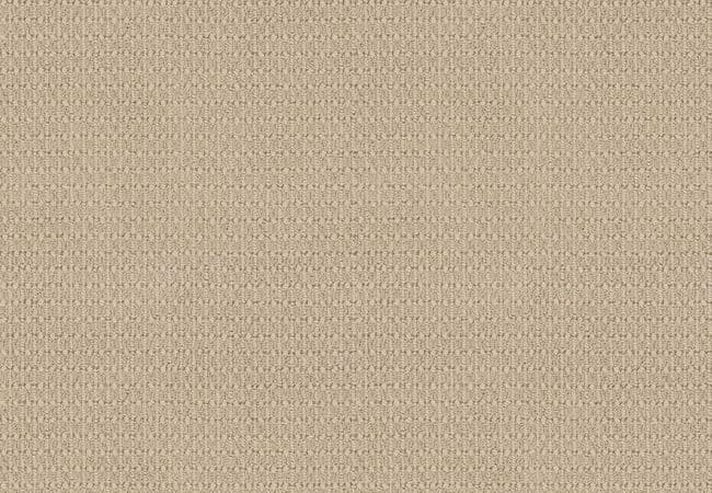 Anderson Tuftex Carpet Moondance Antique — Anderson Tuftex