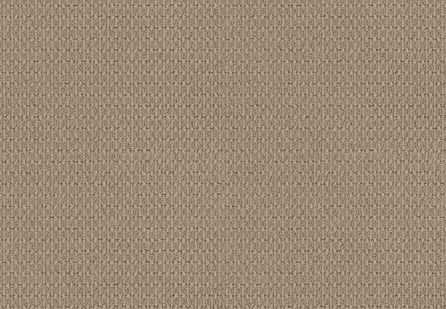 Anderson Tuftex Carpet Moondance Bungalow — Anderson Tuftex