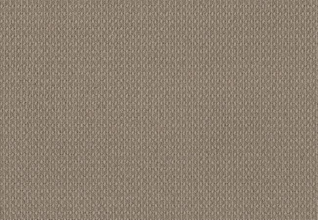 Anderson Tuftex Carpet Moondance Canvas — Anderson Tuftex