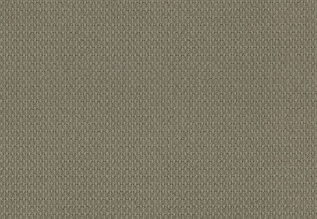 Anderson Tuftex Carpet Moondance Chatroom — Anderson Tuftex