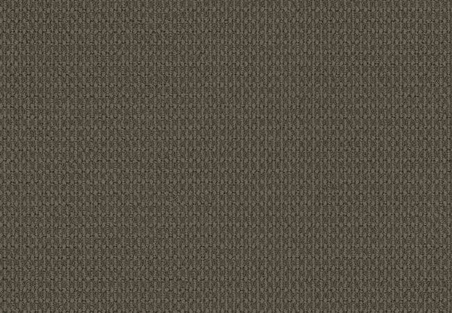 Anderson Tuftex Carpet Moondance Darkroom — Anderson Tuftex