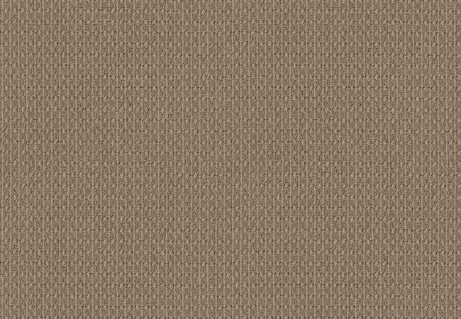 Anderson Tuftex Carpet Moondance Desert Suede — Anderson Tuftex