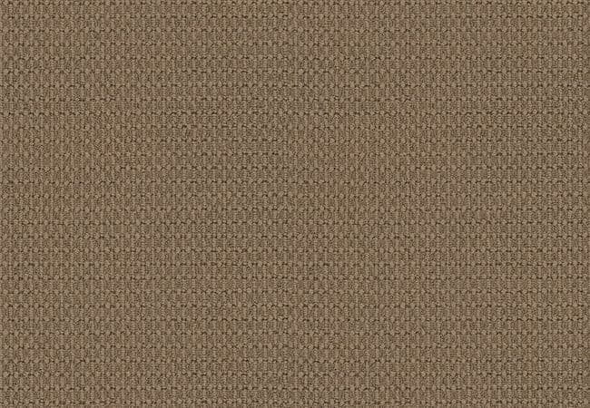 Anderson Tuftex Carpet Moondance Egyptian Sand — Anderson Tuftex