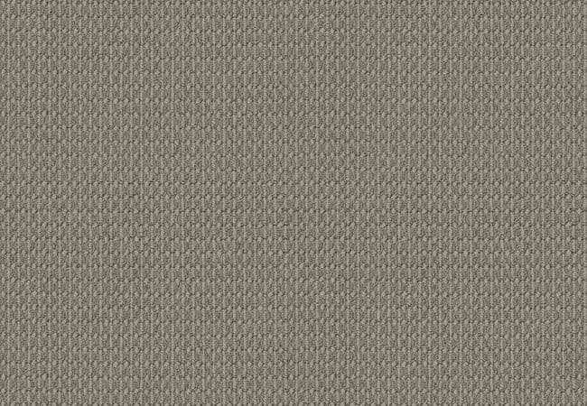 Anderson Tuftex Carpet Moondance Foggy Haze — Anderson Tuftex