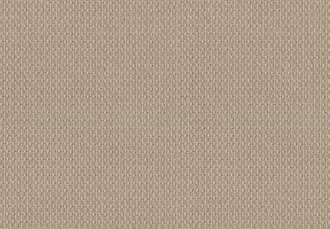Anderson Tuftex Carpet Moondance Pale Beach — Anderson Tuftex
