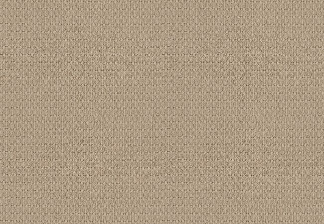Anderson Tuftex Carpet Moondance Patience — Anderson Tuftex