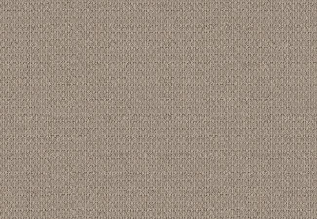 Anderson Tuftex Carpet Moondance Pearl — Anderson Tuftex