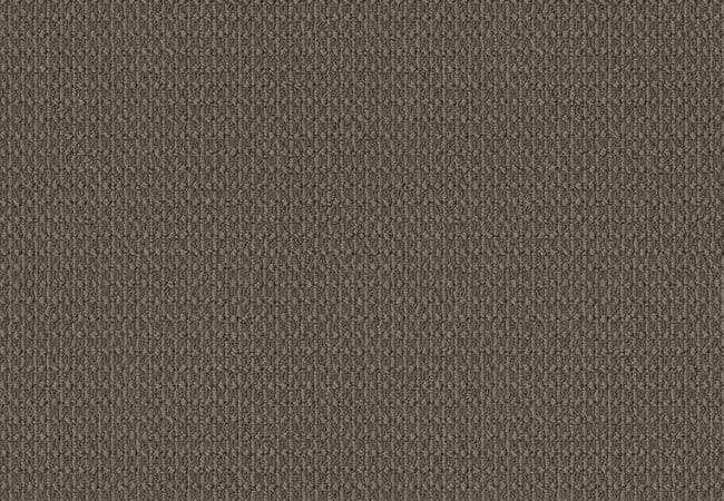 Anderson Tuftex Carpet Moondance Pebble — Anderson Tuftex