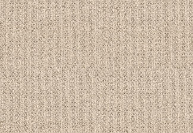 Anderson Tuftex Carpet Moondance Restful — Anderson Tuftex