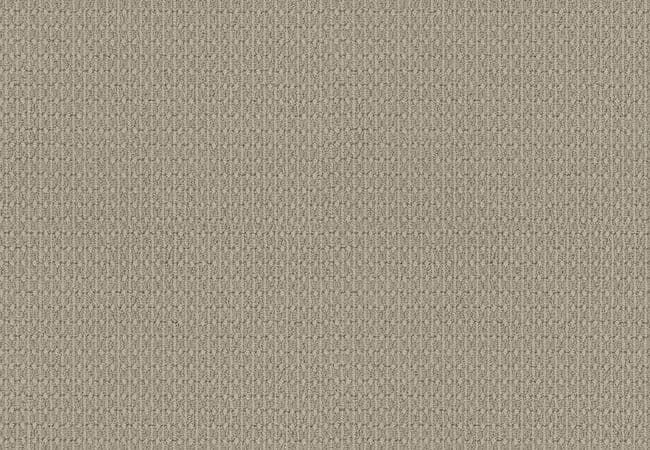 Anderson Tuftex Carpet Moondance Sedate — Anderson Tuftex