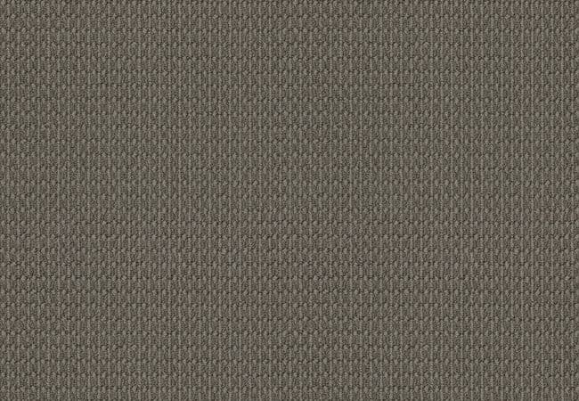 Anderson Tuftex Carpet Moondance Silhouette — Anderson Tuftex