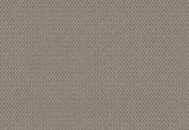 Anderson Tuftex Carpet Moondance Silver Taupe — Anderson Tuftex