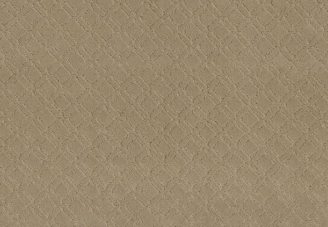 Anderson Tuftex Carpet Muse Coronado — Anderson Tuftex