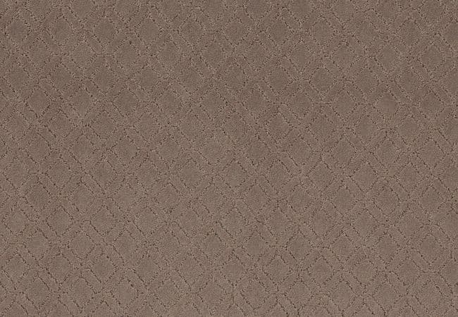 Anderson Tuftex Carpet Muse Enigma — Anderson Tuftex
