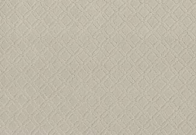 Anderson Tuftex Carpet Muse Minimal — Anderson Tuftex