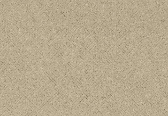 Anderson Tuftex Carpet Muse Morning Light — Anderson Tuftex