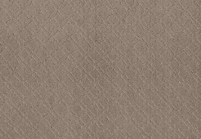 Anderson Tuftex Carpet Muse Socialite, Anderson Tuftex