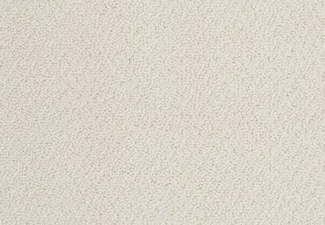 Anderson Tuftex Carpet On Point Adrift — Anderson Tuftex