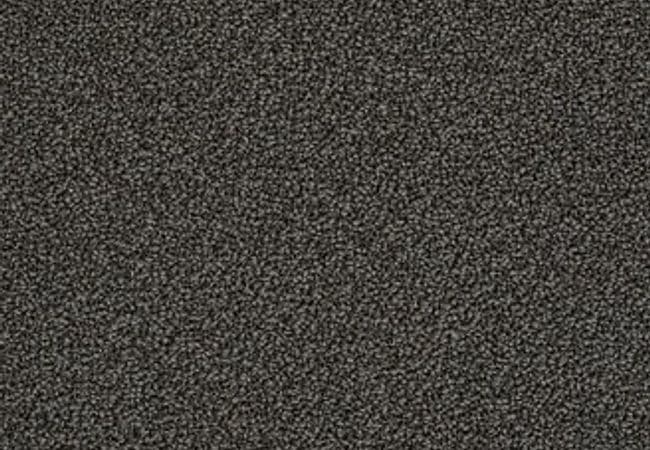 Anderson Tuftex Carpet On Point Cavern — Anderson Tuftex